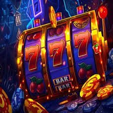 win566