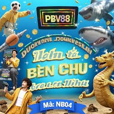 win566